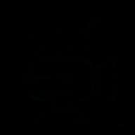 Greenlight Coverage logo