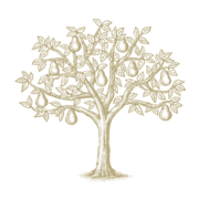 Harry & David logo