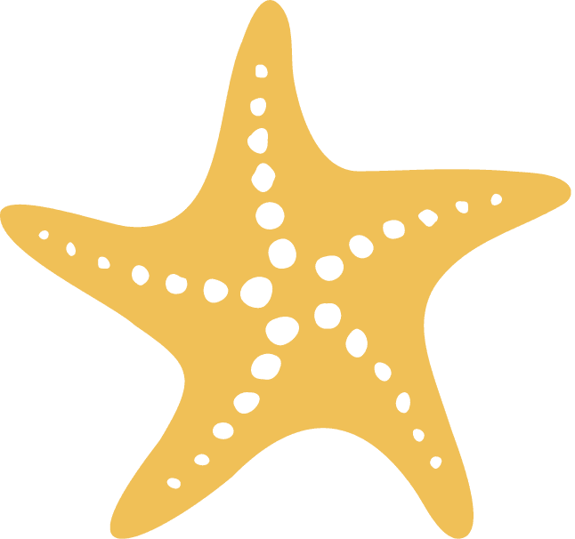 Jewelry & The Sea logo