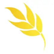 Kiperincollagenturkiye logo