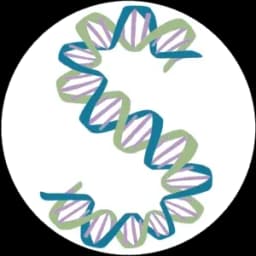 Kristin Moon Science logo