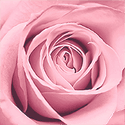 La Vie en Rose logo