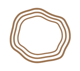Momonaskin logo