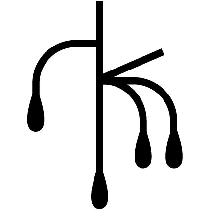 Nekkocare logo