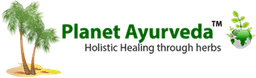 PLANET AYURVEDA INTERNATIONAL logo