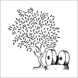 Queen Creek Olive Mill logo