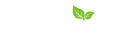 RainPoint logo