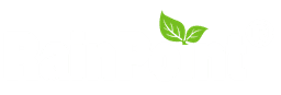 RainPoint logo