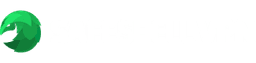 Safeshell VPN logo