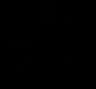 sapari logo