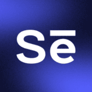 Selzy US, BR logo