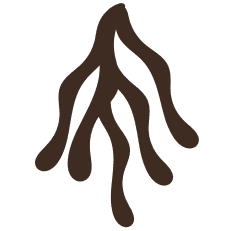 Signal logo