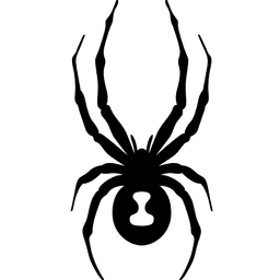 Spyder logo