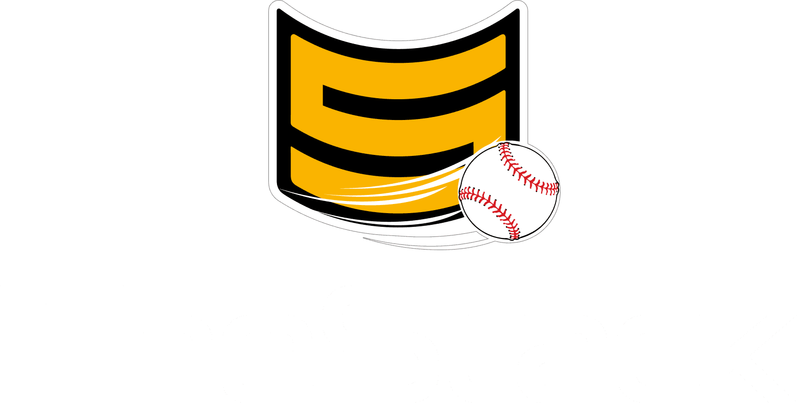 Thestackbaseball logo