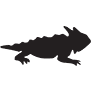 Toadandco logo