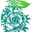 Trella Skin Care logo