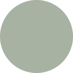 VersedSkin.com logo
