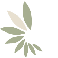 Vici Wellness logo