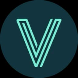 VidaVibe Volleyball logo