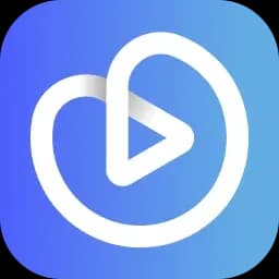 Vidzflow logo