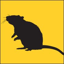 Vulcanpest logo