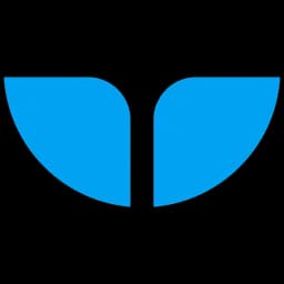 Whalesync logo