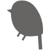 WildBird logo