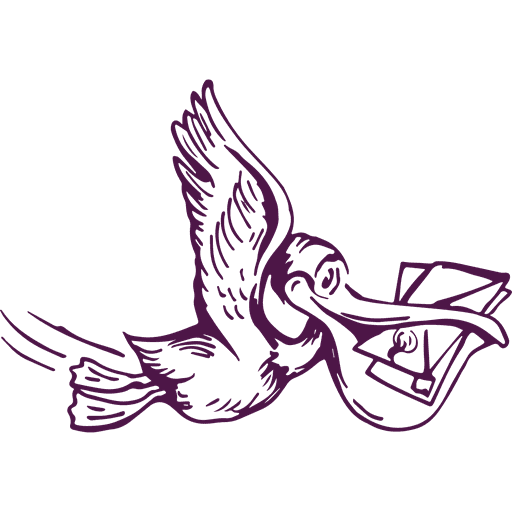 Wise Pelican logo