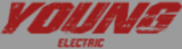 youngelectricbikes logo