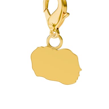 Map Charms