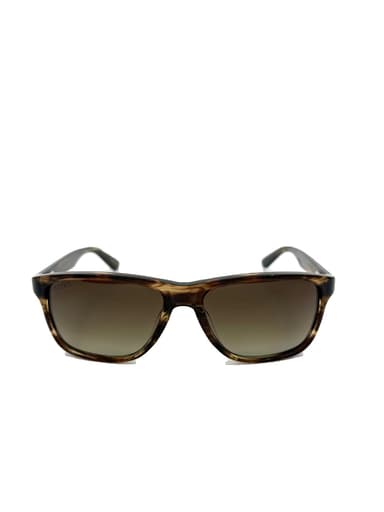 AJ | Tortoise