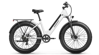 Samoyed Ebike