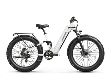 Boxer ST Ebike