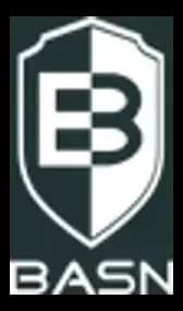 BASN AUDIO logo