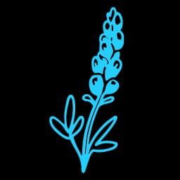 Bluebonnet Case logo