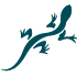 Chaco US logo