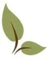 Charting Nature logo