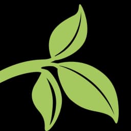 DesiMe logo