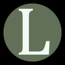LayinSun logo