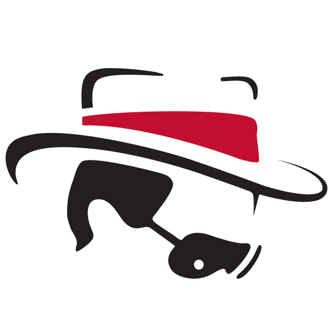 Leadbetterswingaids logo