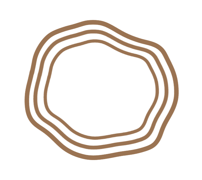 Momonaskin logo