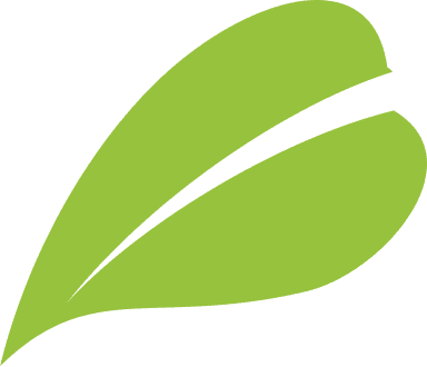 Nearly Natural logo