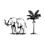 Noémie logo