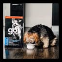 Only Natural Pet logo