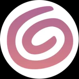 Silverette Usa logo
