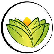The Ayurveda Experience logo